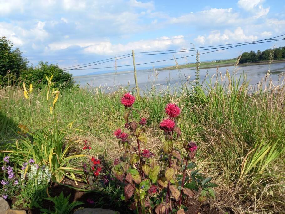 2 Quay Road, Killala. Stunning Sea Front Cottage Exterior foto
